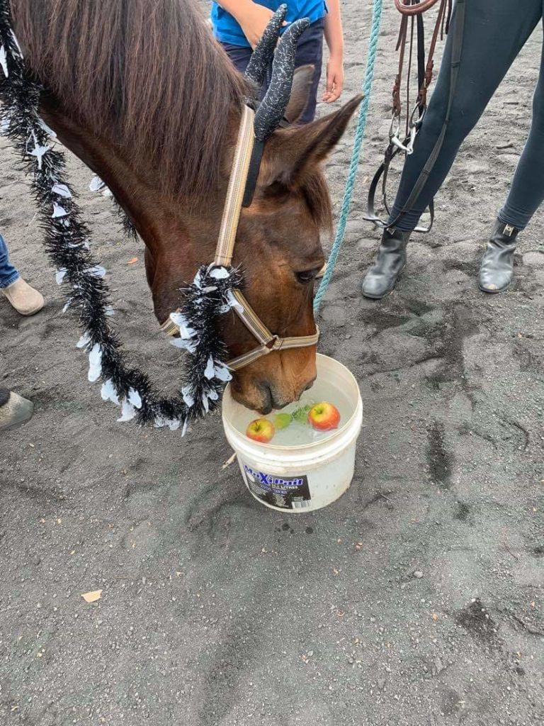 RDA Tsv Halloween Apple Bobbing