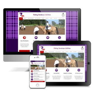 RDAQ Responsive Website Design by Puro Design